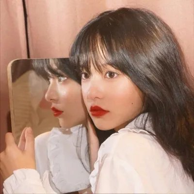 重返·狼群